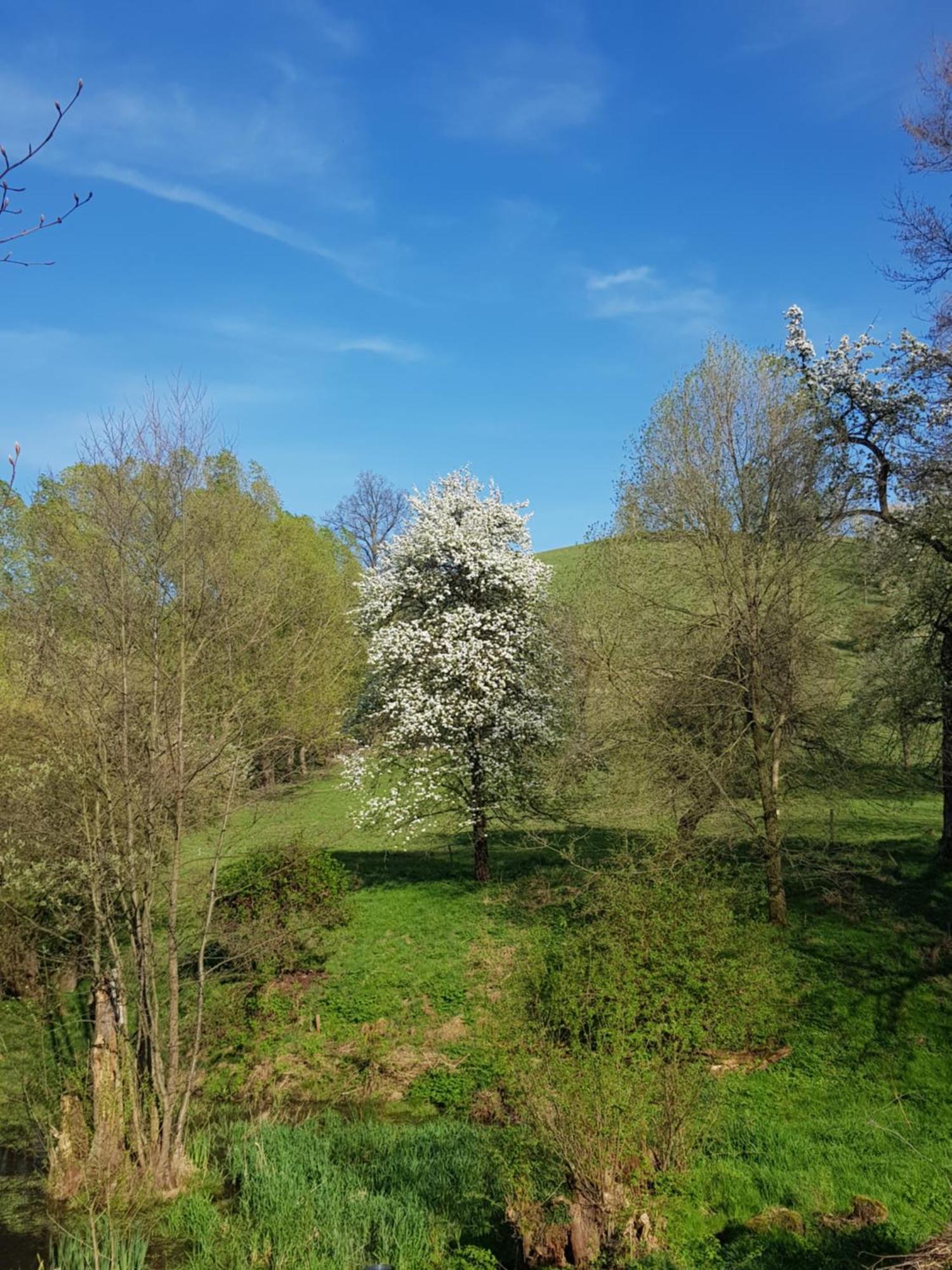 Na Piotrowickiej Przeleczy Villa Bystrzyca Klodzka Exterior photo